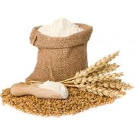 Wheat Flour
